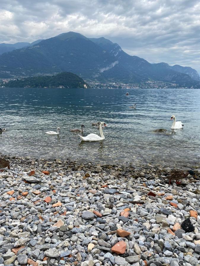 Lake House Near Bellagio Villa Lezzeno Bagian luar foto